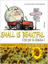 Small Is Beautiful